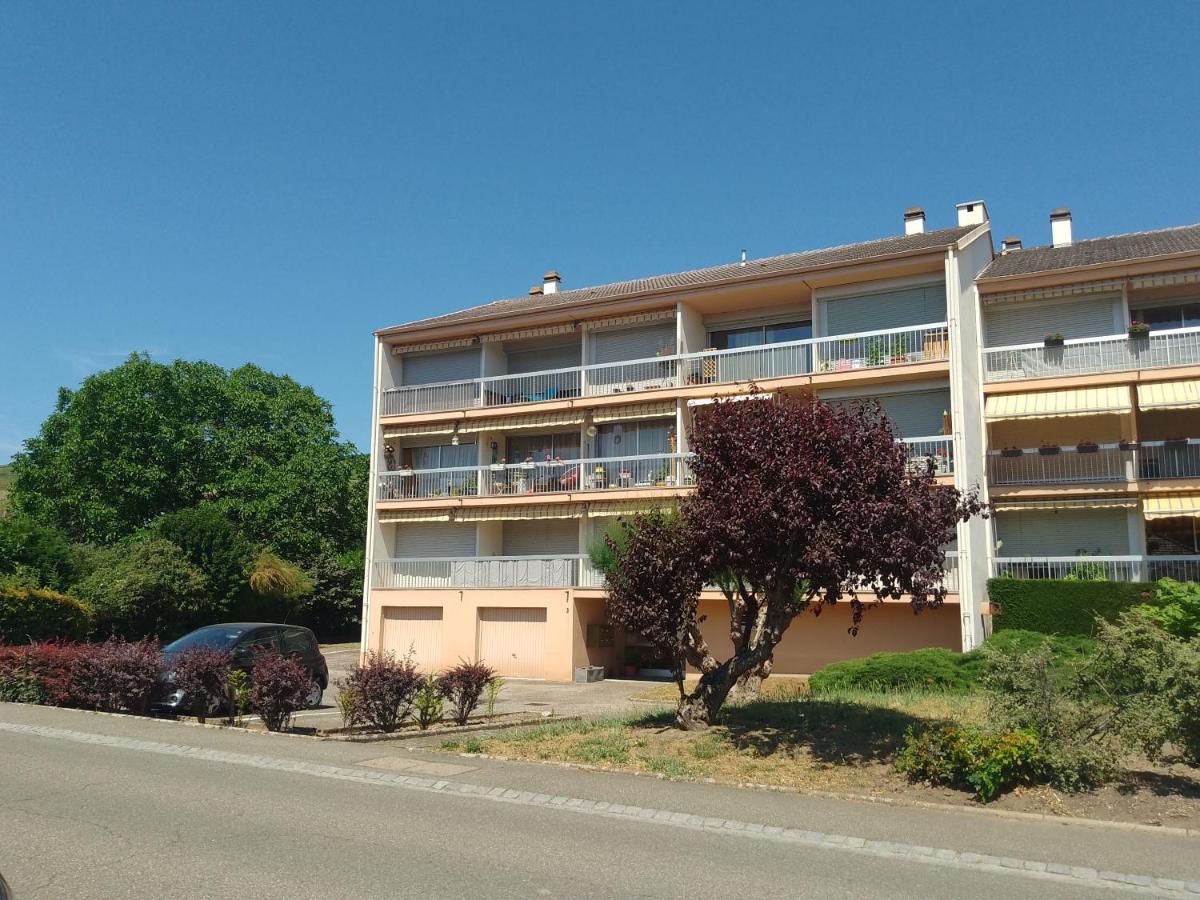 Appartement Avec Balcon : Le Serenity Turckheim Exterior photo